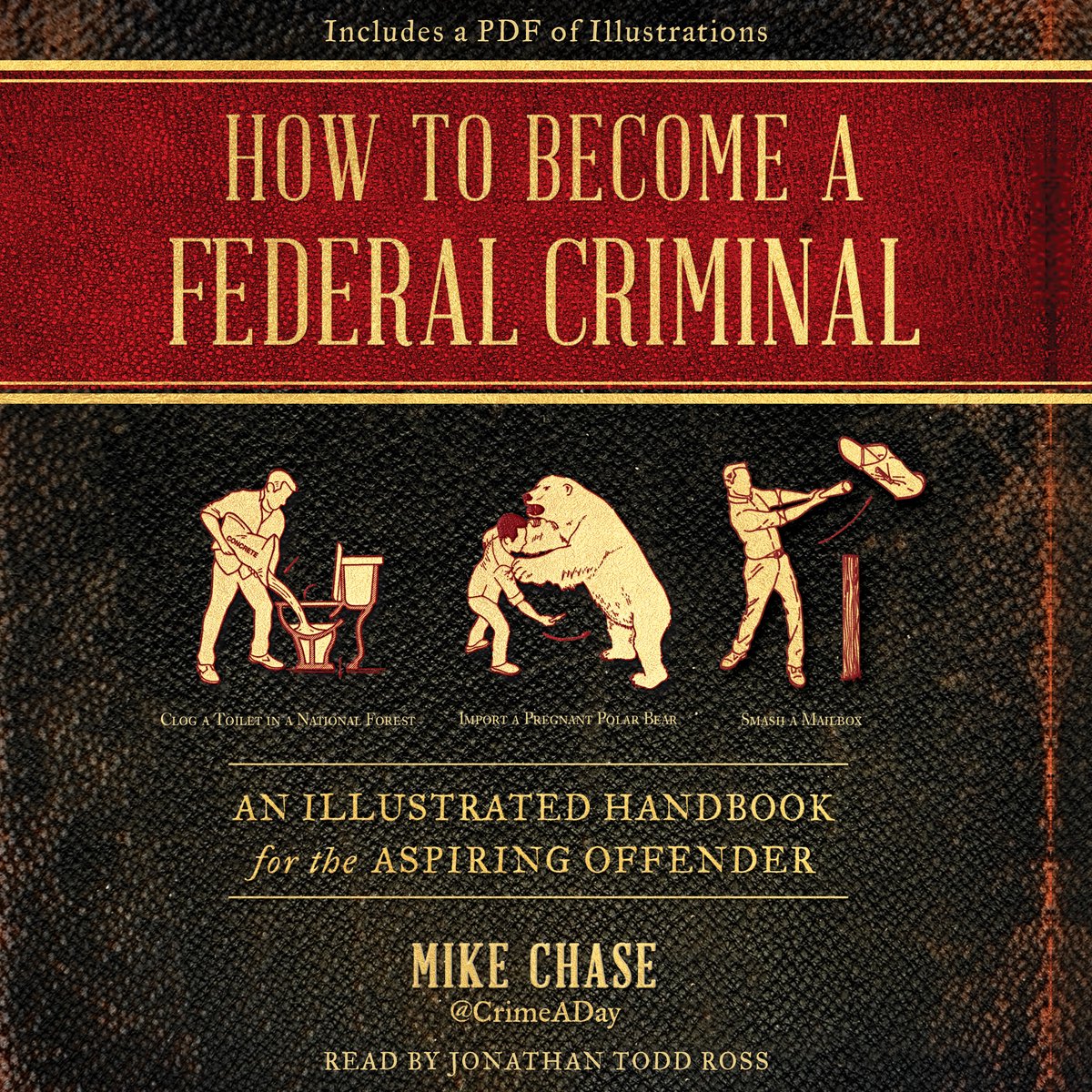Cómo convertirse en un criminal federal