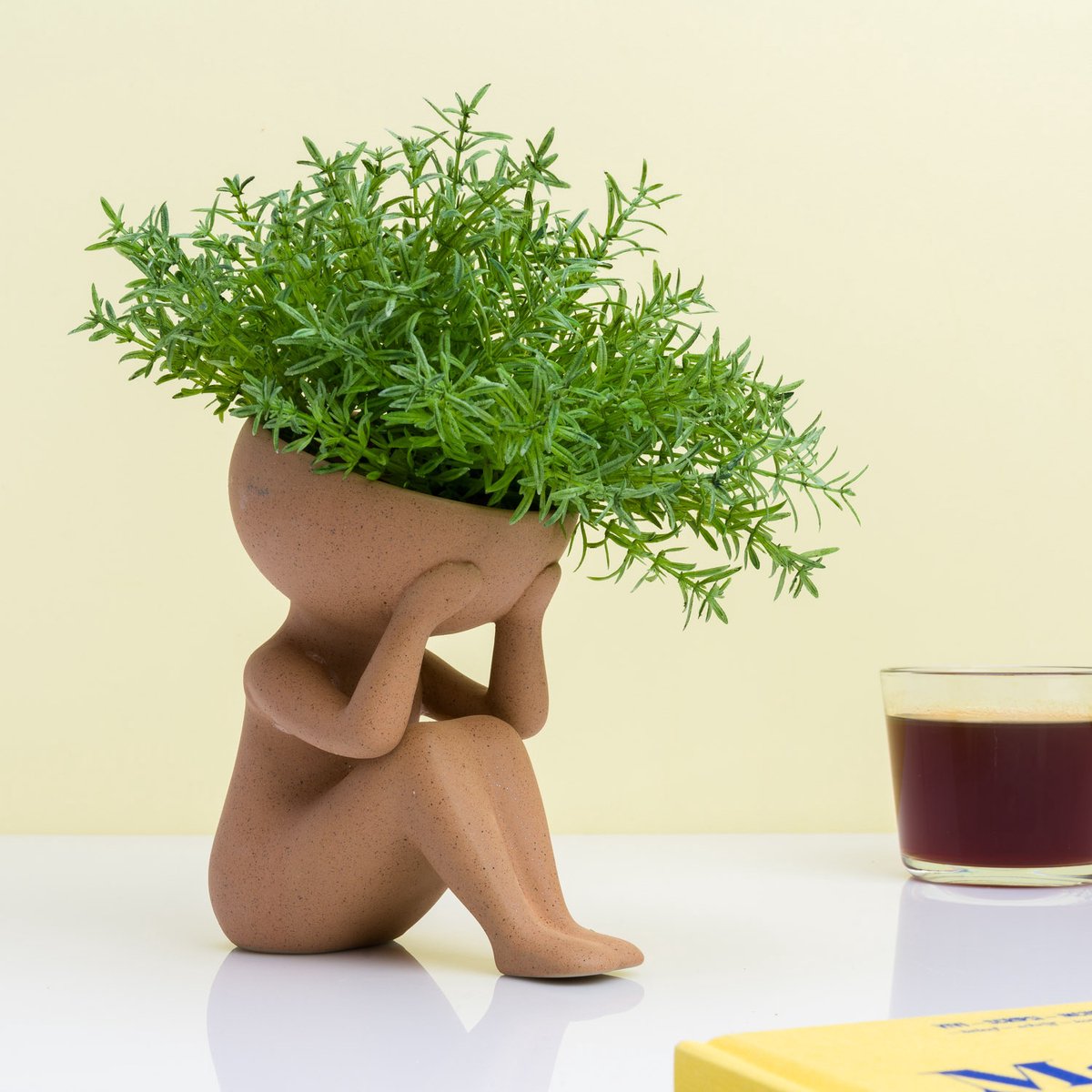 Plantas Winkee en mi maceta principal.