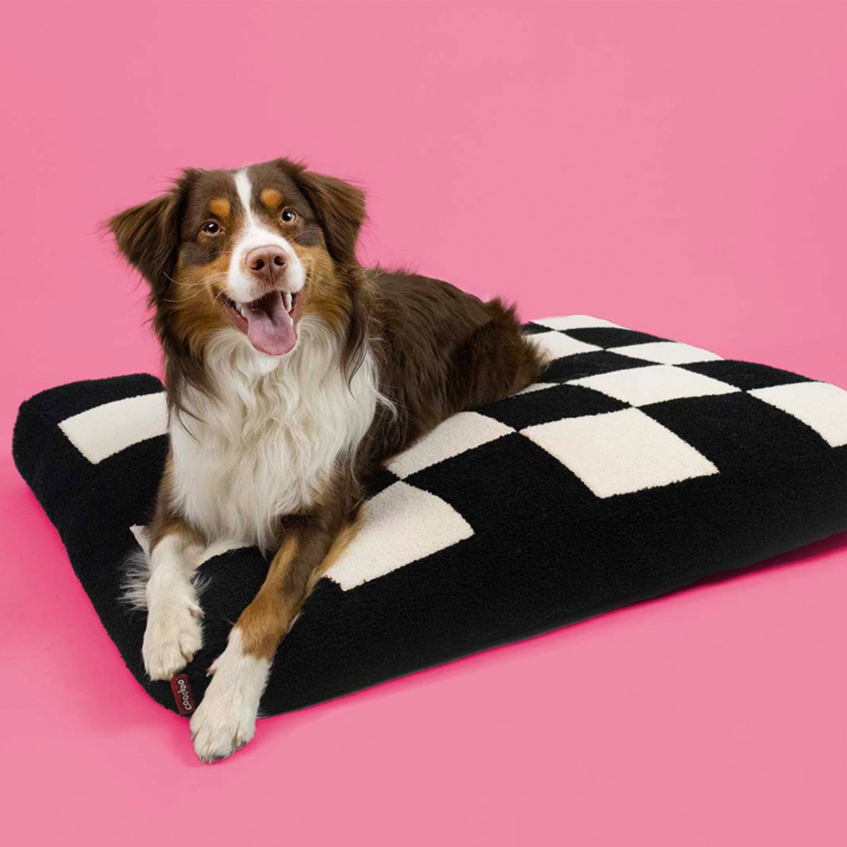 Coockoo cuscino per cani accogliente blocco bianco e nero m-90x75x11 cm