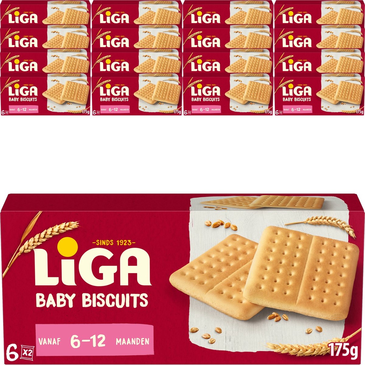 Seconda fase di lega (16x 175gr)