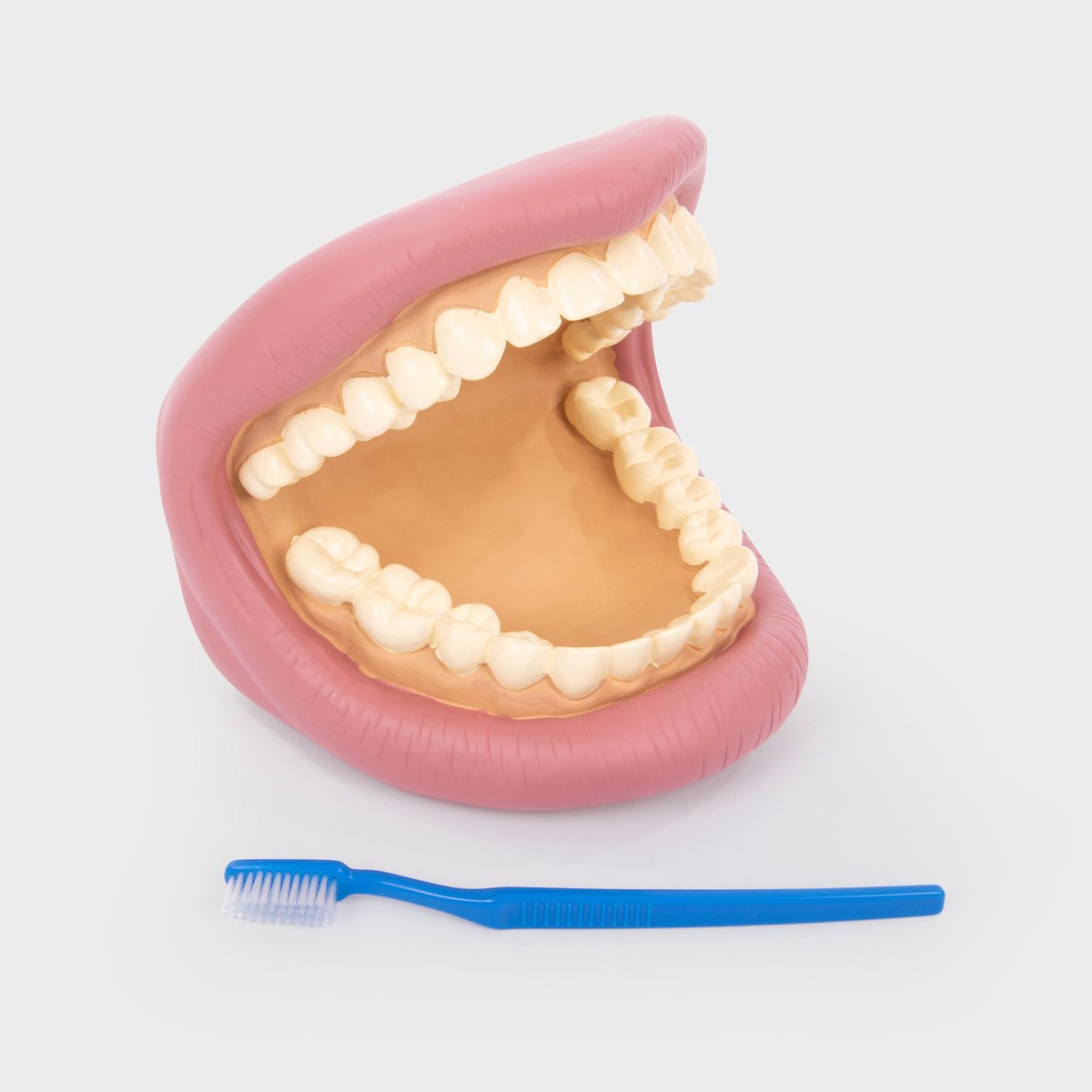 Kit dentale denti giganti Ticketit®