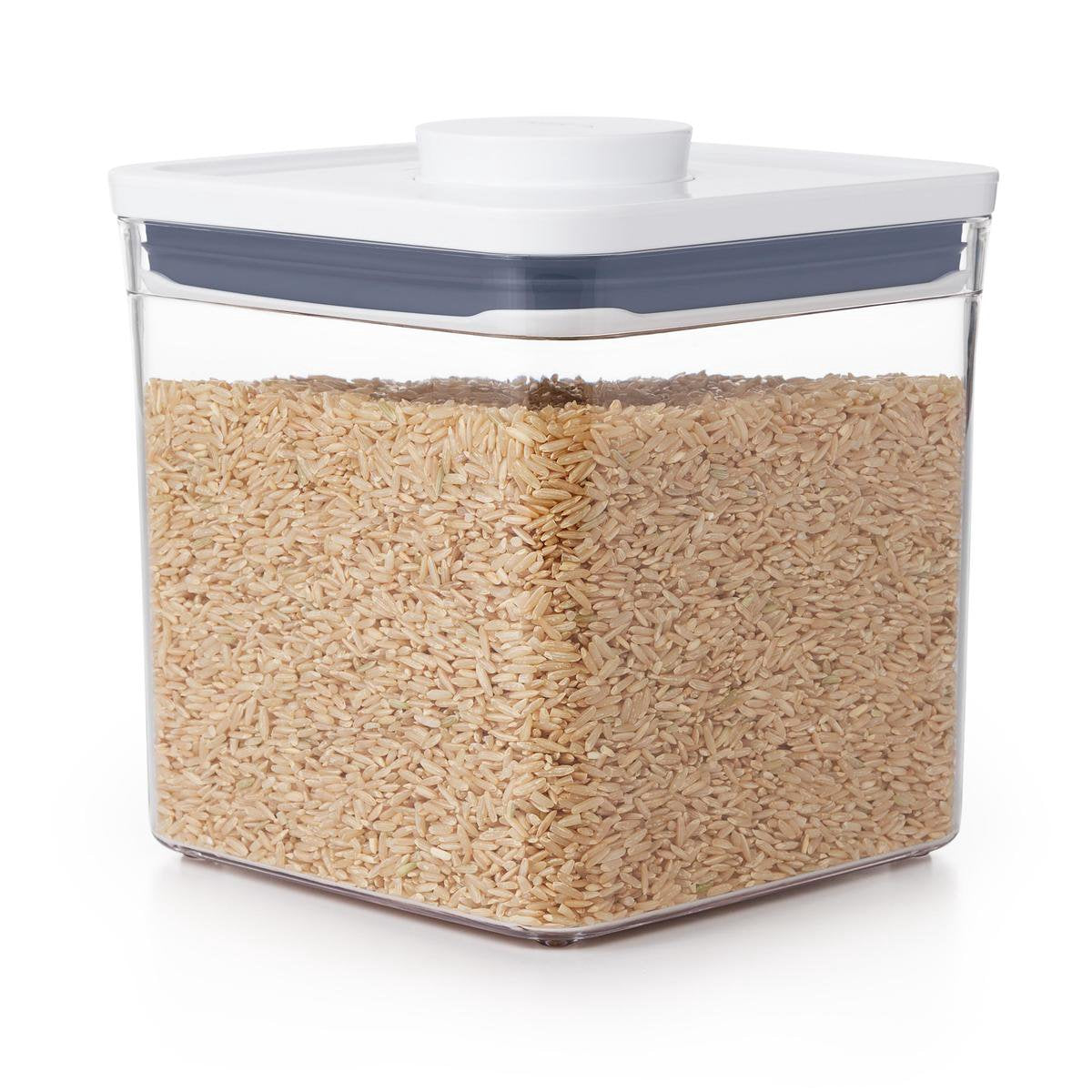 Oxo - contenitore pop - grande - basso - 2,6 litri