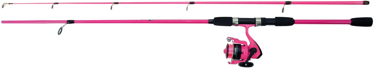 Stanley fatmax livella classica pro 60 cm