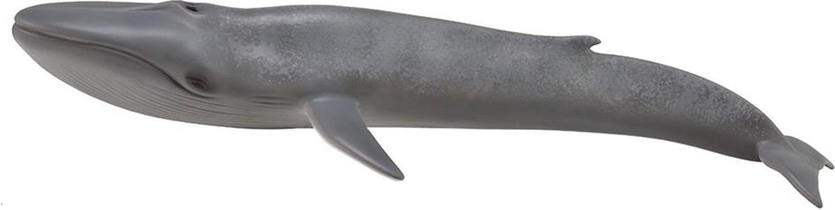 Statuetta Collecta - balenottera azzurra - (xl) - animali marini - dipinta a mano - miniatura