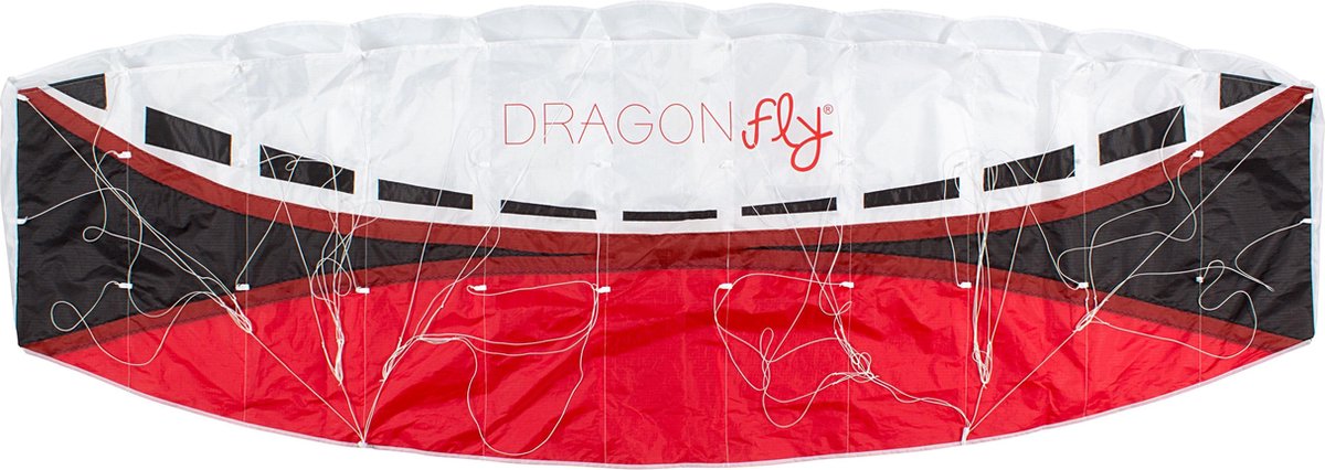 mosca dragón
