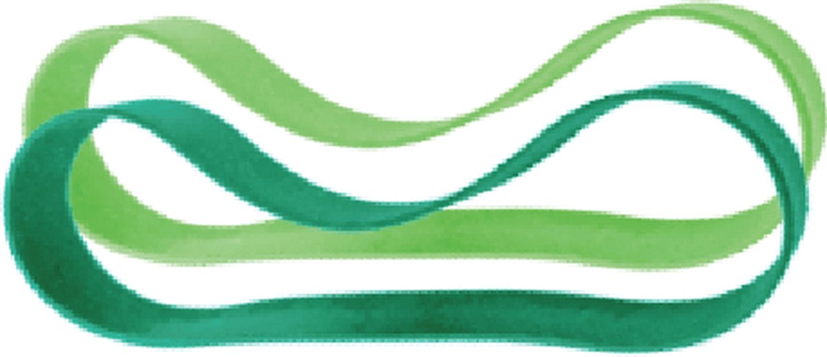 Fasce in silicone Pura per portapranzo - 2 pezzi - menta e muschio