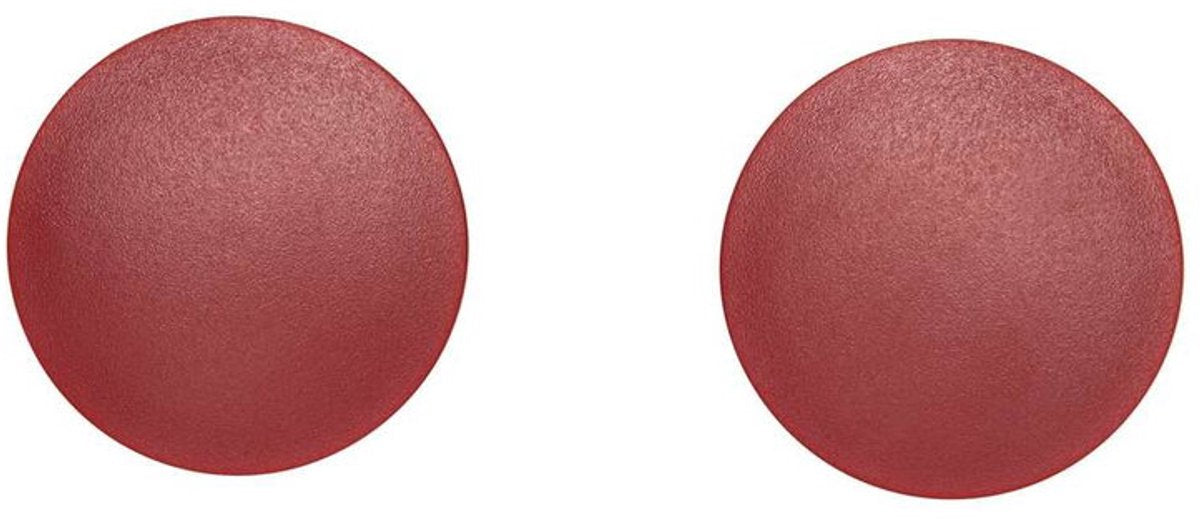 Maglio magnete rotondo solido 2 pezzi 2,5 kg plastica ferrite bruchsicher ø 3,8 x 1,55 cm rosso