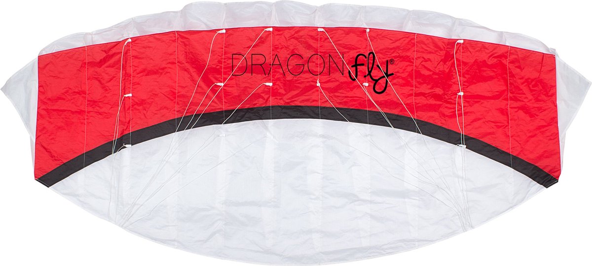 mosca dragón