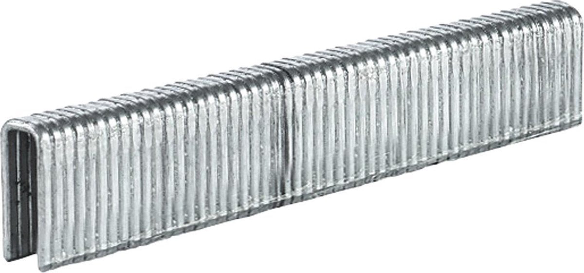 Einhell Staples 5,7 x 13 mm, 3000 pezzi