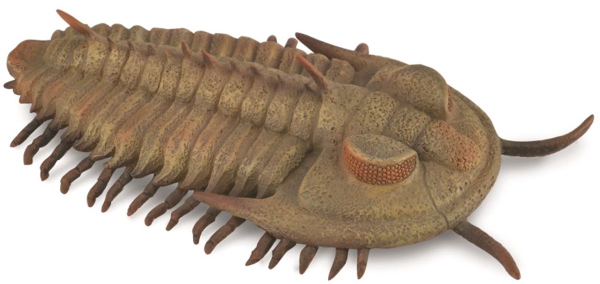 Statuetta Collecta - redlichia rex trilobite - (l) - preistoria - dipinta a mano - miniatura