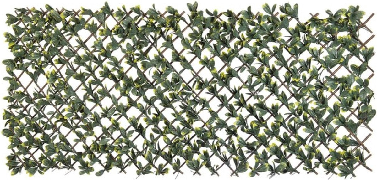 Naturaleza Latwerk con California Liguster Verde y amarillo Tade 90x180 cm