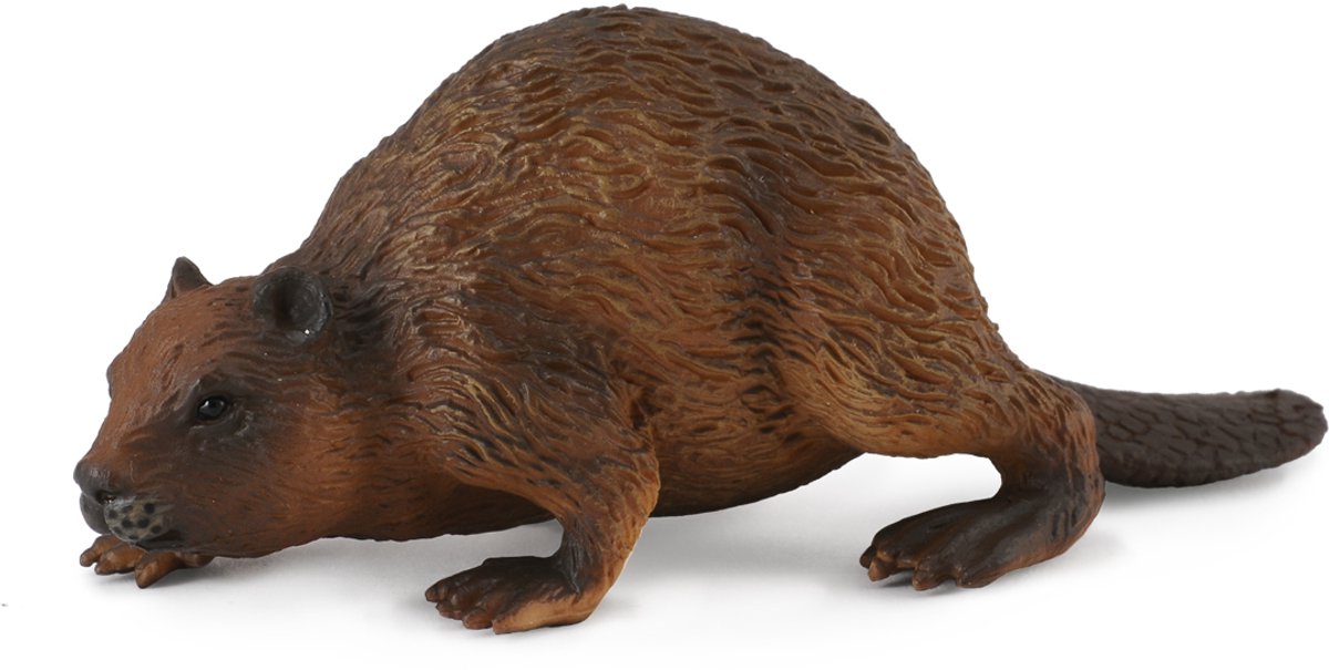 Collecta figurine - bever - (m) - bosdieren - handgeschilderd - miniatuur