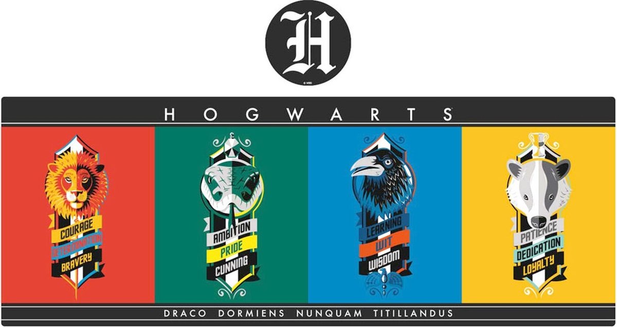 Fanattik Harry Potter - set sottobicchieri sottomano con sottomano da scrivania - multicolore