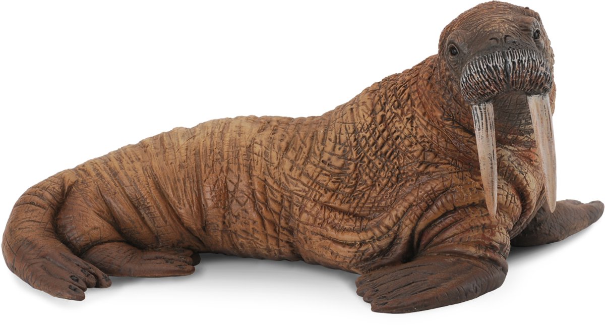 Statuetta Collecta - tricheco - (l) - animali marini - dipinta a mano - miniatura