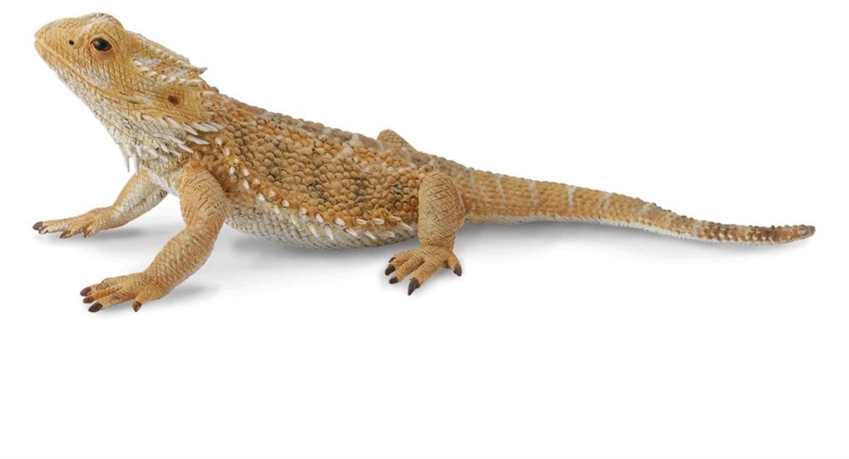 Collecta lucertola drago barbuto - figura in plastica marrone di 13,5 cm - da 3 anni