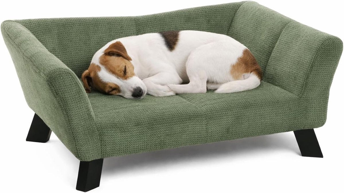 Cama para perro Flamingo – sofá perro – sofá gato – damario rectangular verde – 62,5 x 43 x 25 cm – patas de madera