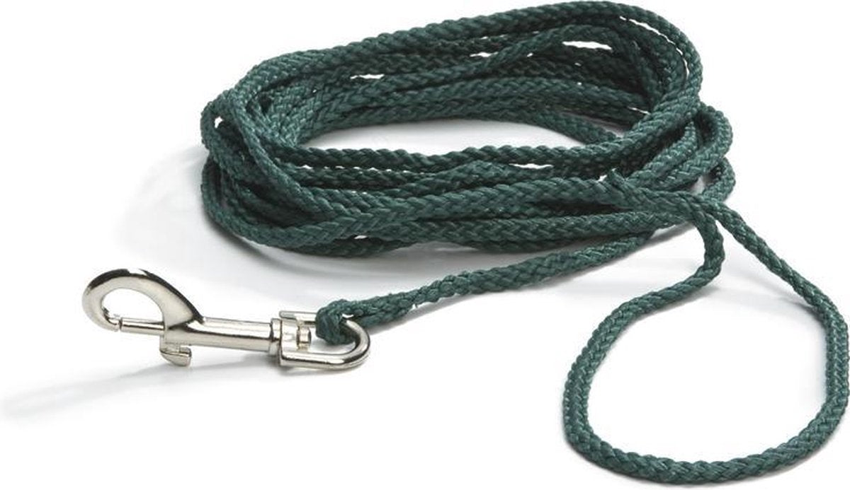 Linea di ricerca Beeztees - guinzaglio per cani - nylon - verde - 15 m