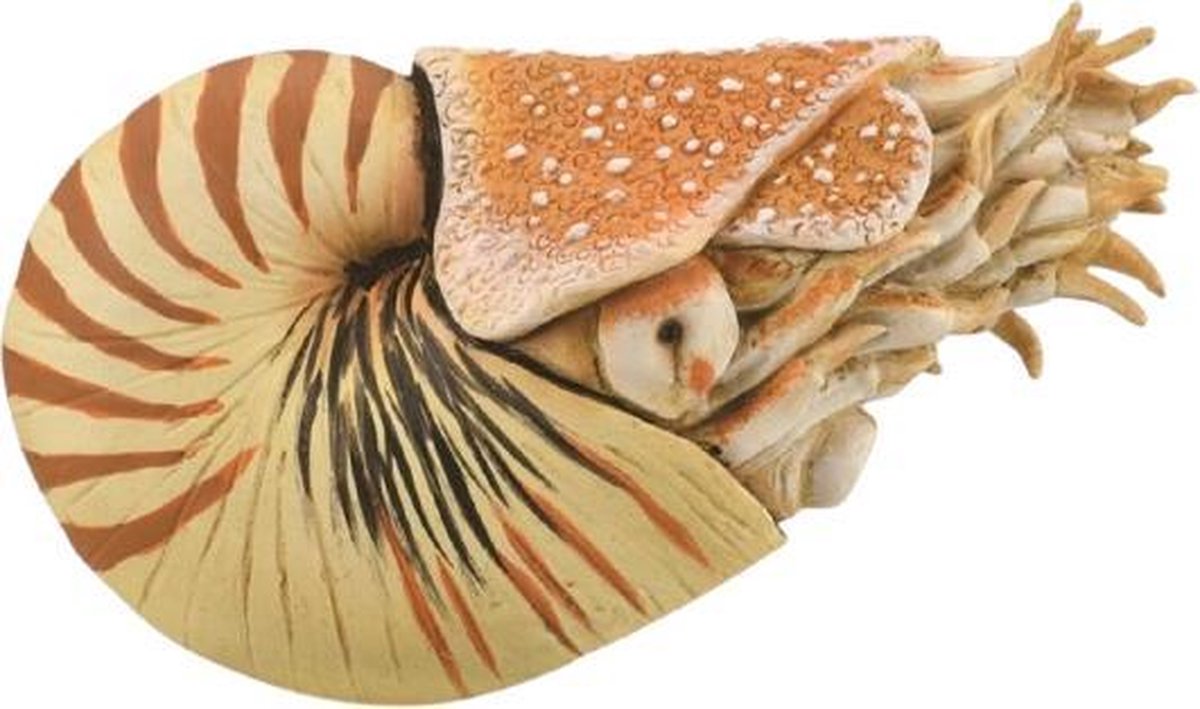 Figura Collecta - nautilus pompilius - (xl) - prehistoria - pintada a mano - miniatura