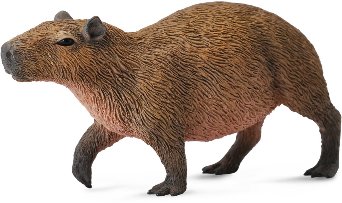 Statuetta Collecta - cinghiale acquatico - (m) - animali della foresta - dipinta a mano - miniatura