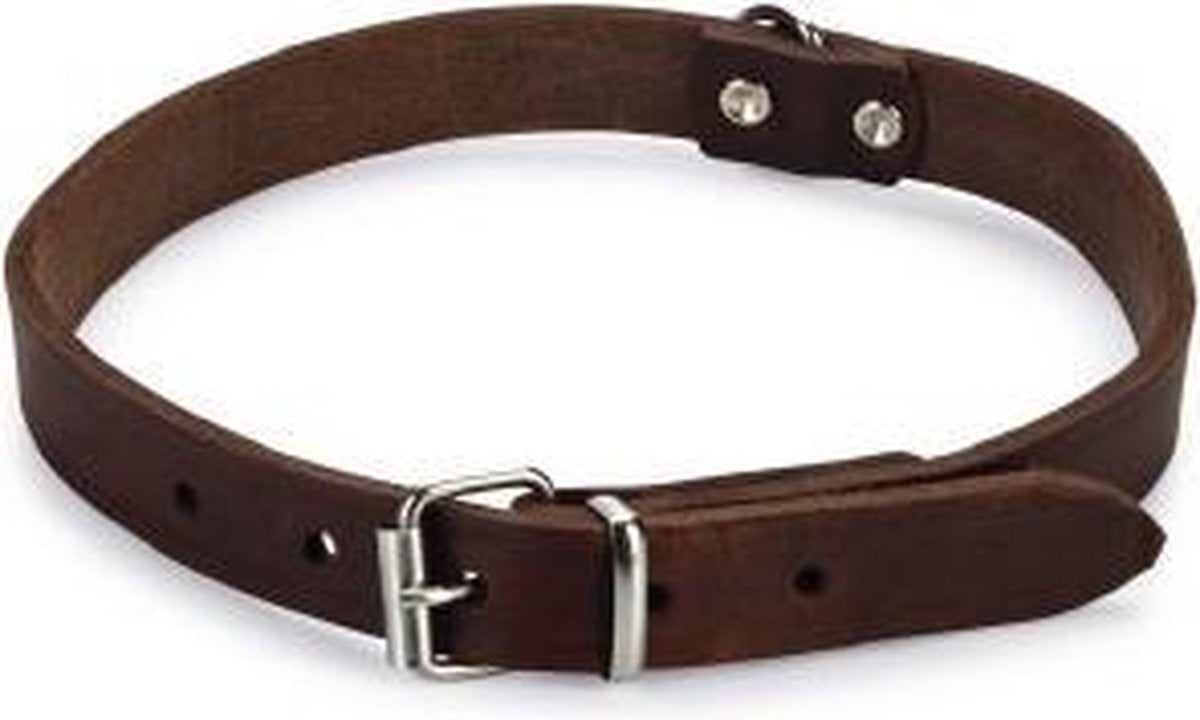 Beeztees - collare per cani - pelle - marrone - 43-52 cm x 20 mm