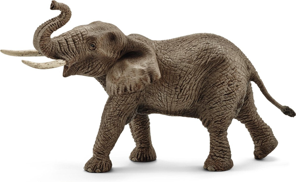 Schleich vida salvaje elefante africano macho 14762