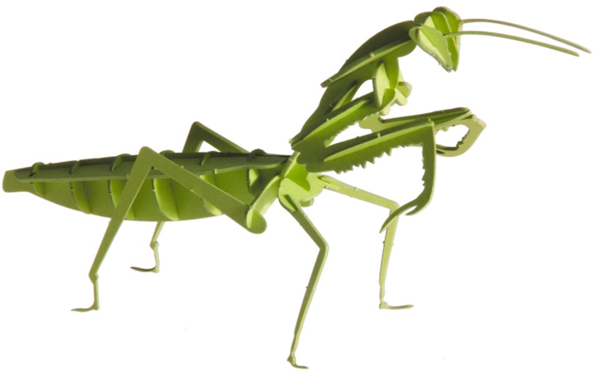 Modello di carta 3D Fridolin - mantide religiosa.