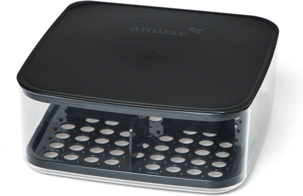 Amuse la caja de almacenamiento de queso