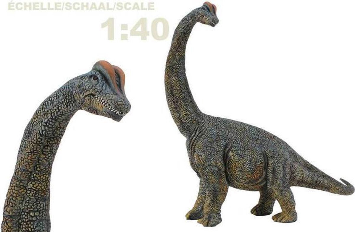 Collecta figurine - brachiosaurus - 1:40 - prehistorie - handgeschilderd - dinosaurus - miniatuur