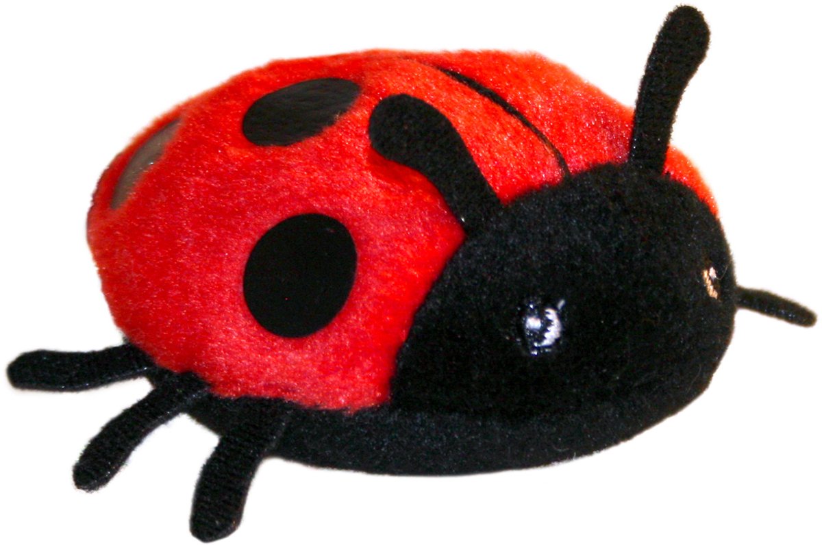 Marionetta da dito della compagnia di marionette - coccinella