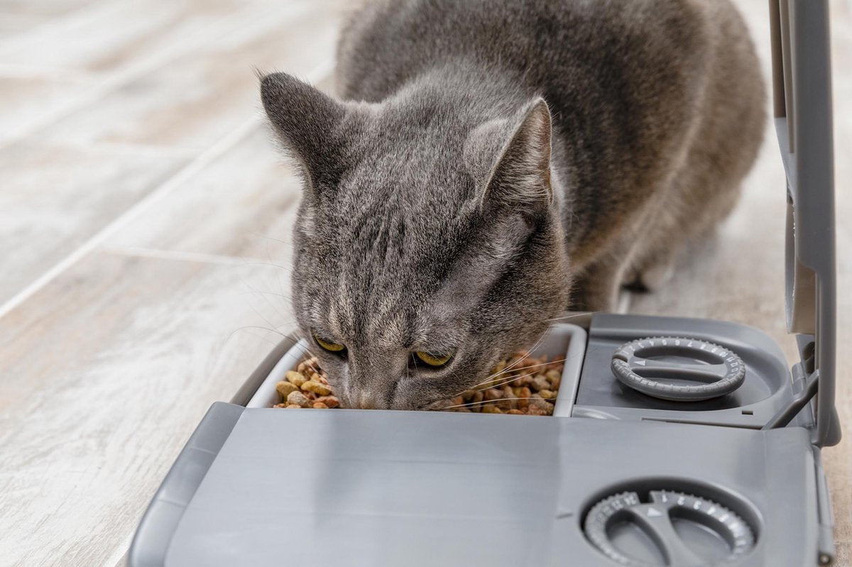 Petsafe