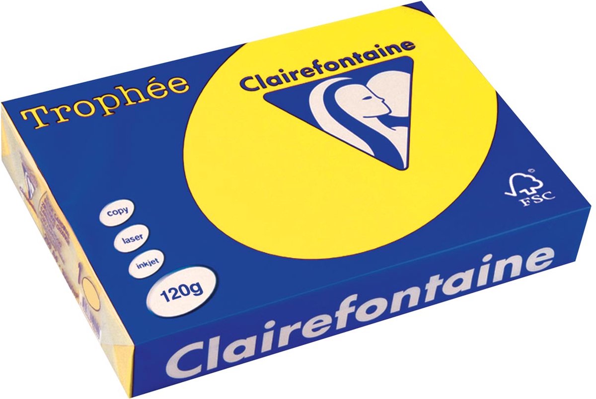 Clairefontaine gekleurd papier geel 120 g 21x29,5 cm - uni