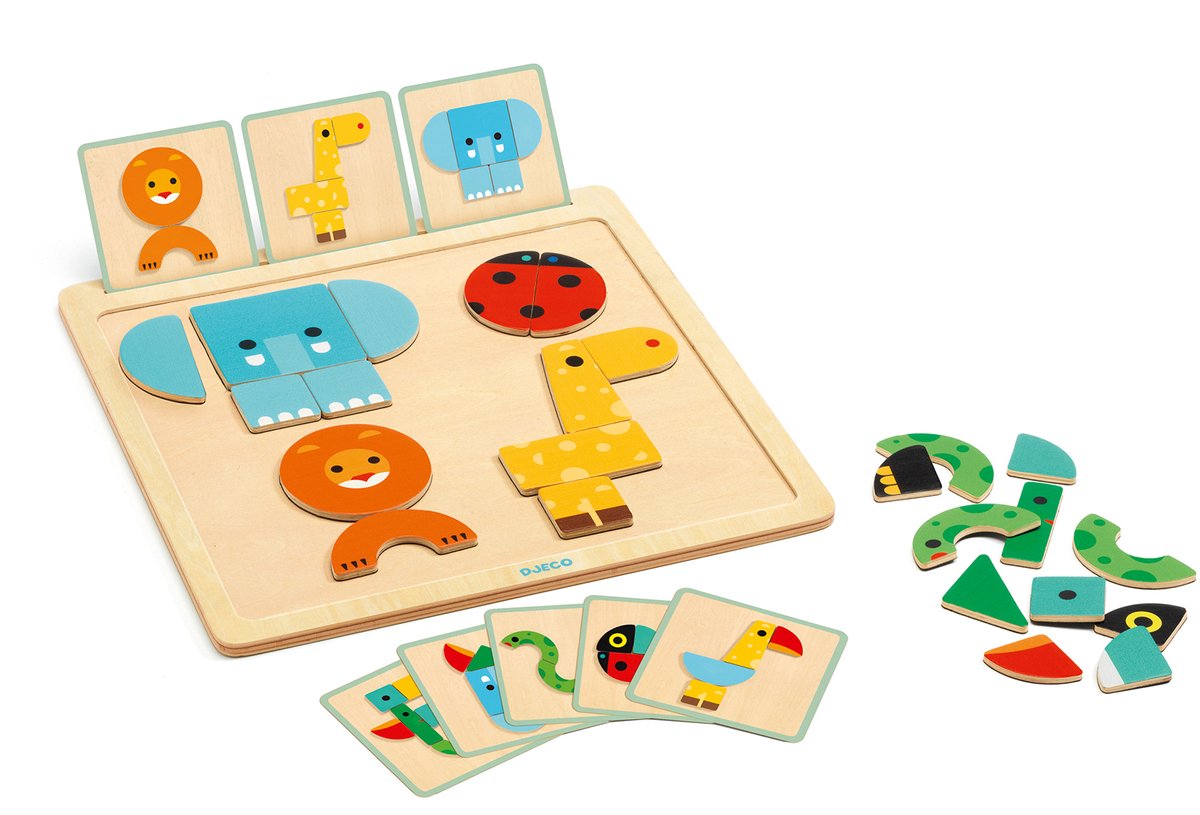 Djeco - gioco magnetico geobasico