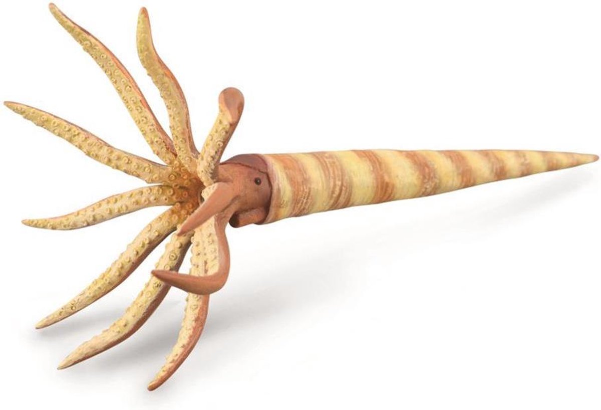 Statuetta Collecta - orthoceras - (l) - preistoria - dipinta a mano - miniatura