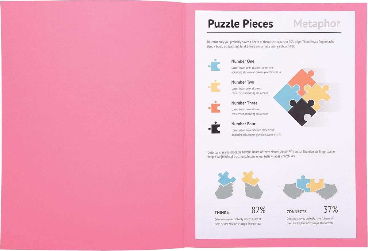 Cartella file exacompta jurassic pink