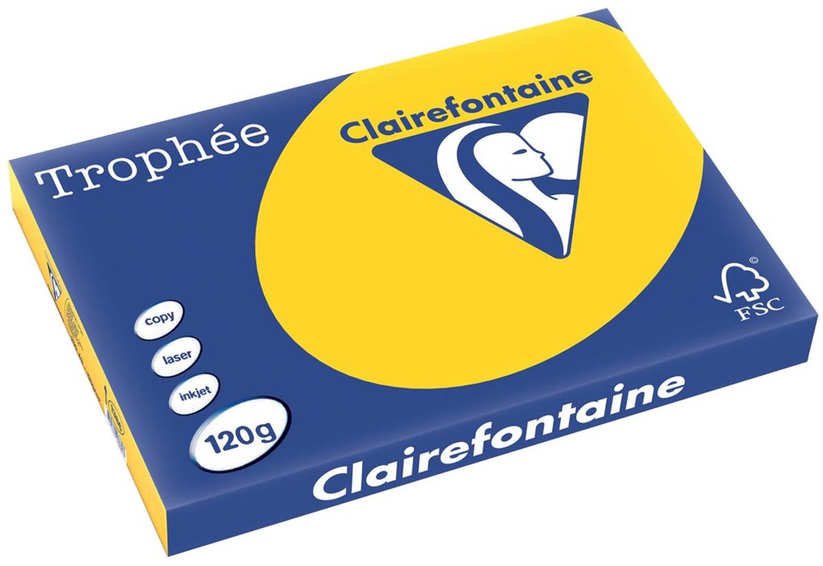 Trophee clairefontaine trophée pastel a3 goudgeel 120 g 250 vel