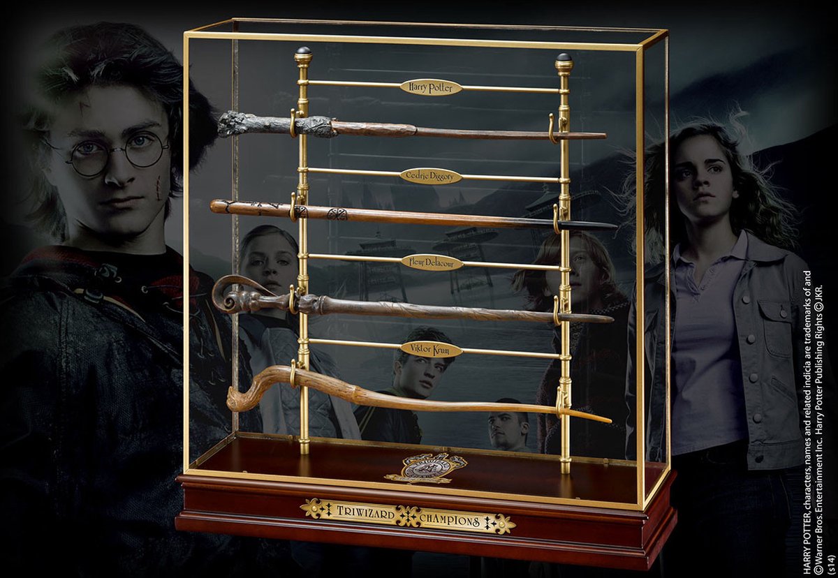 La nobile collezione Harry Potter - Set da parete Campioni Tremaghi