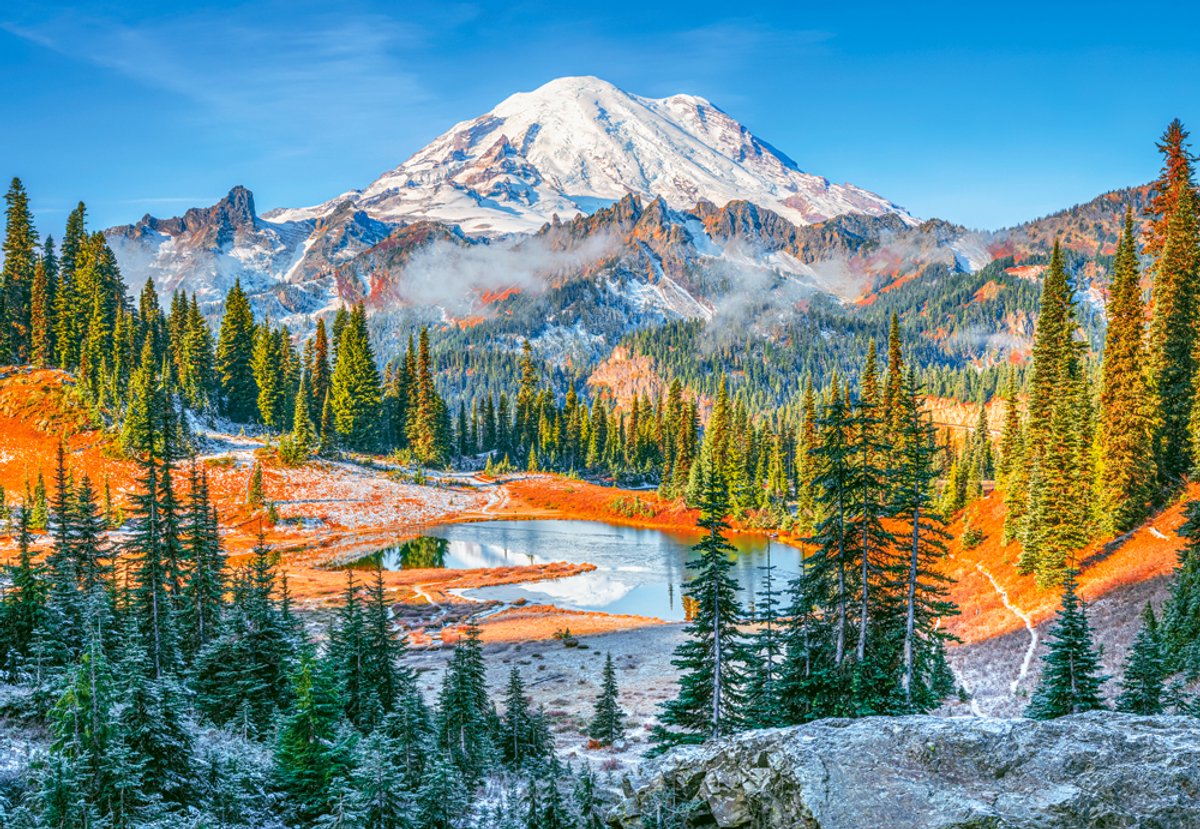 Castorland puzzel mount rainier national park usa 1000 stukjes.