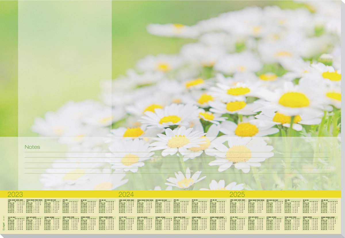 Sigel designonderlegger - papier - lovely daisies - a2 - jaren 2023 2024 2025 - si-ho307