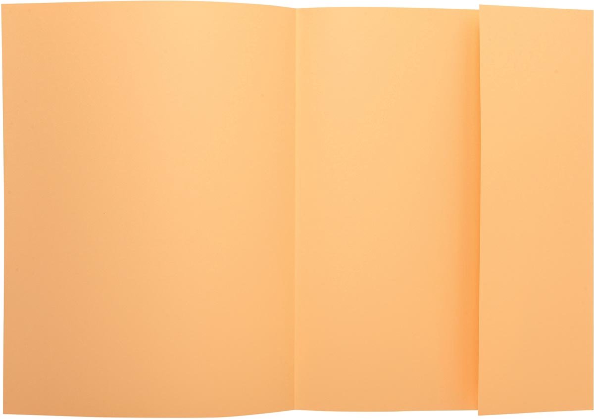 Cartella file Exacompta super 210 | confezione da 50 pezzi | gemme