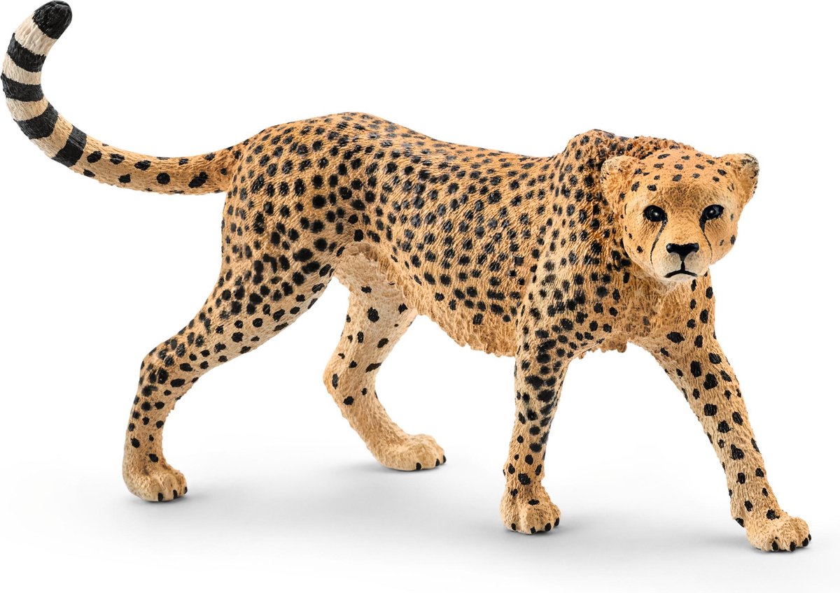 Schleich safari - leopardo, femmina 14746