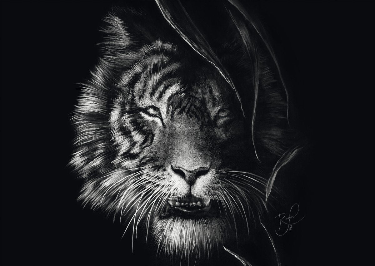 Schmidt Jigsaw Puzzle Wilderness Tiger 1000 pezzi Puzzle per adulti.