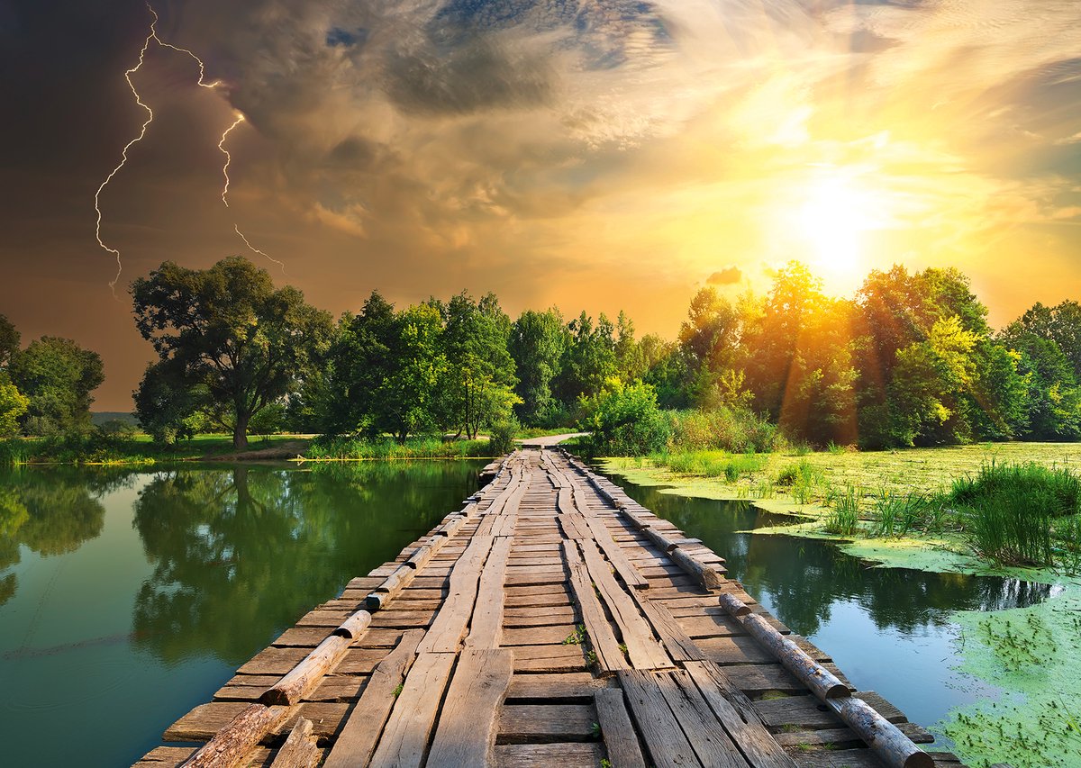 Puzzle Ravensburger edizione natura n°3 luce mistica - 1000 pezzi natura.