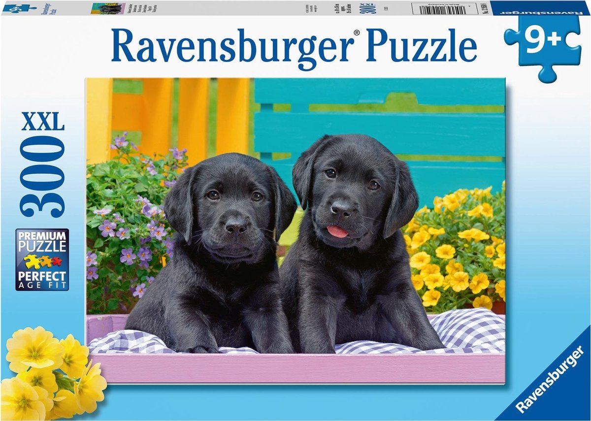 Ravensburger puzzle labrador neri - puzzle - 300 pezzi