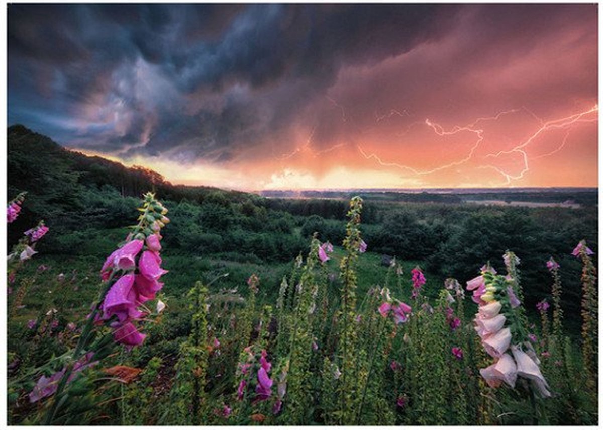 RAVENSBURGER puzzle puzzle ein Sturm vedi AUF, 1000st.