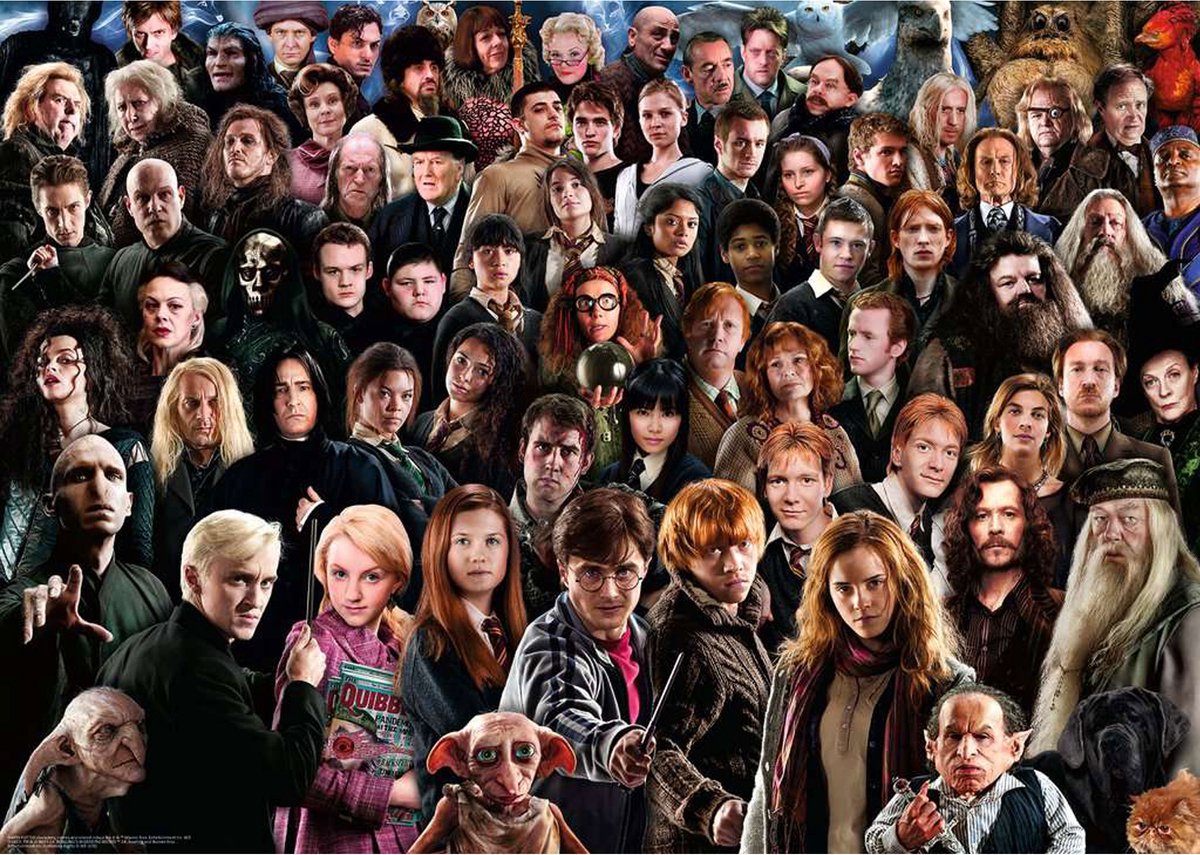 Puzzle Ravensburger Harry Potter - puzzle - 1000 pezzi