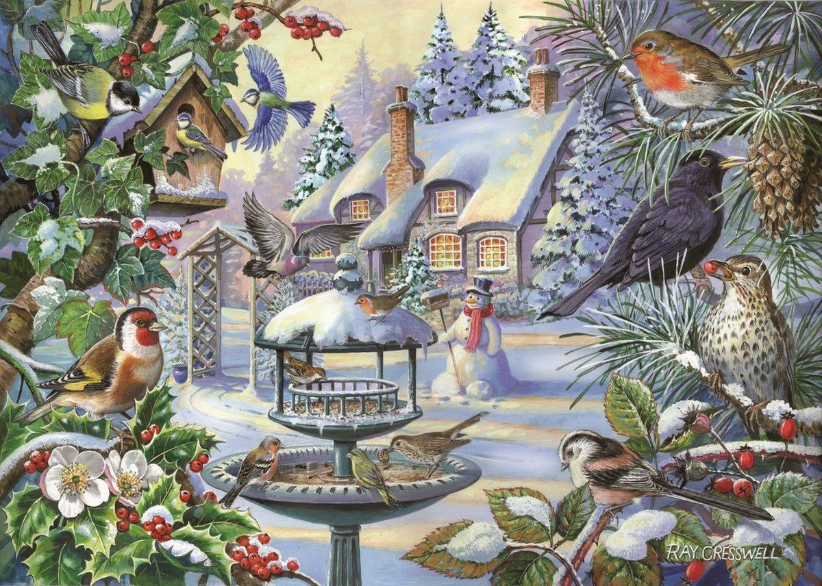 Casa dei puzzle puzzle uccelli invernali 500 xl pezzi di animali.