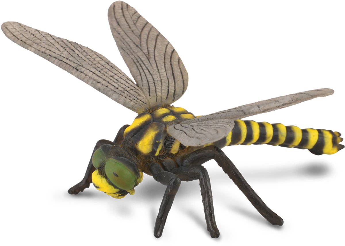 Statuetta Collecta - libellula - (l) - insetti - dipinta a mano - miniatura