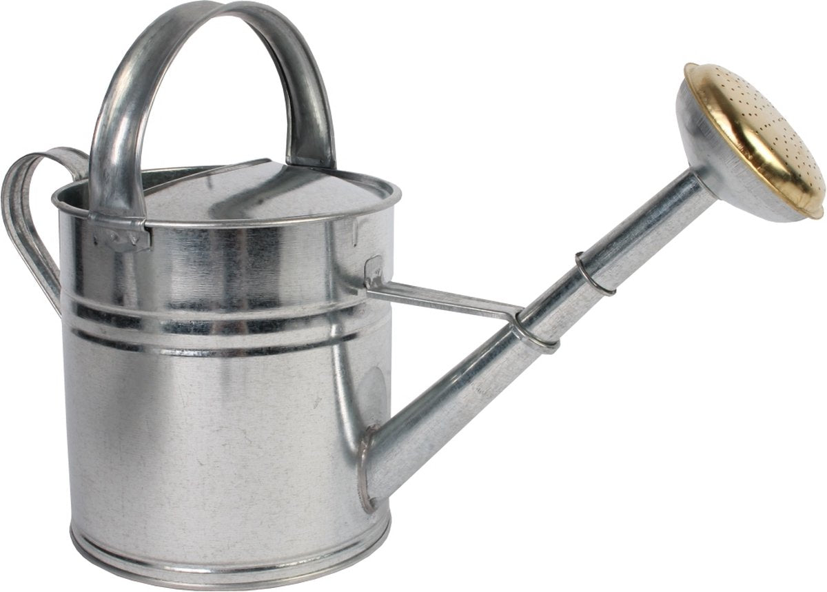 Strumenti linguistici - annaffiatoio - metallo - 5 l - zincato
