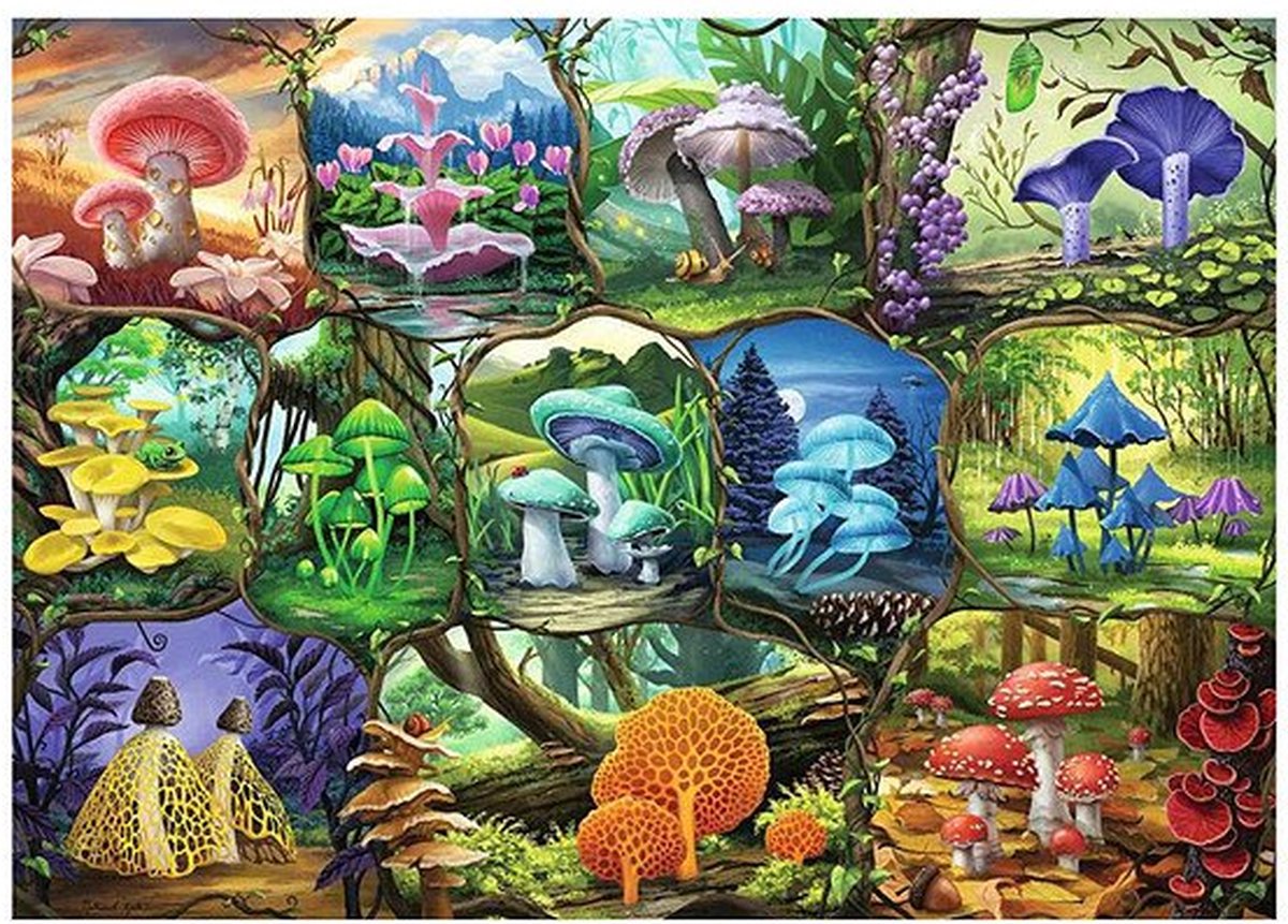 RAVENSBURGER JIGSAW Puzzle Bellissimi funghi, 1000st.