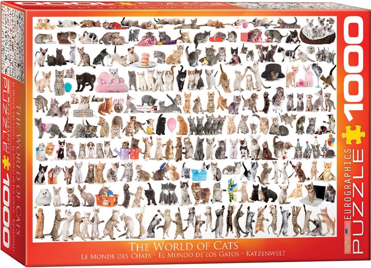 Eurographics - il mondo dei gatti - puzzle da 1000 pezzi 68×48 cm (l×a)